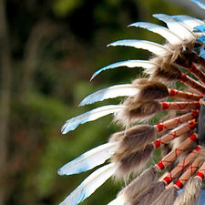 Native American Costume