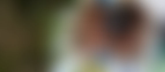 Indigenous People without labels