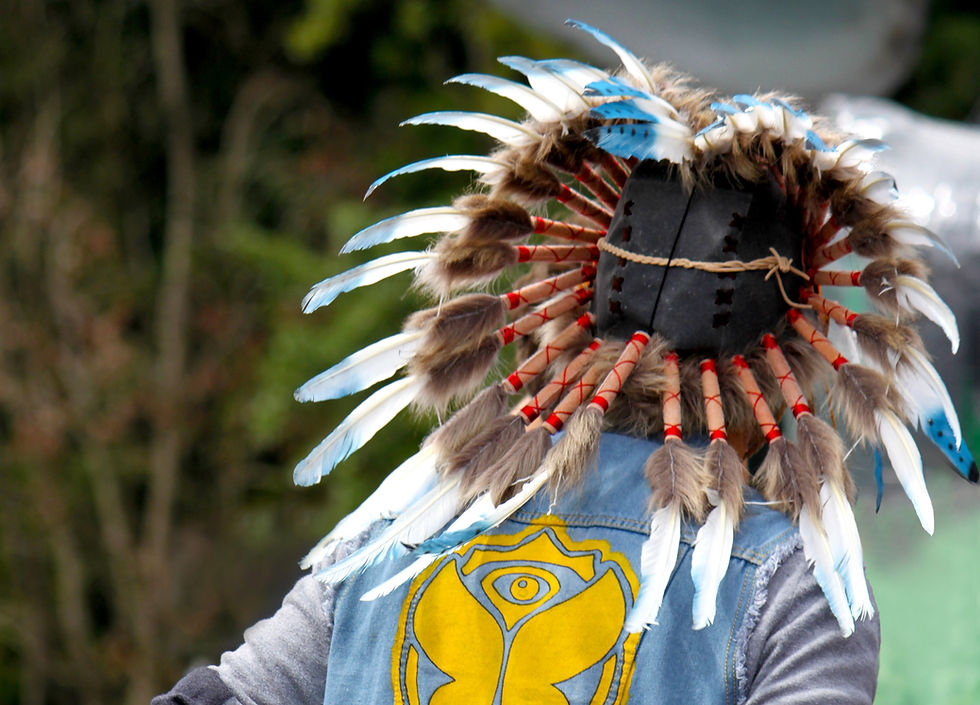 Feathered Headdress View