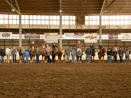 International Mustang Horse Association Inaugural Show 2025