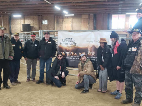 SoulStang: Healing Through the Horse