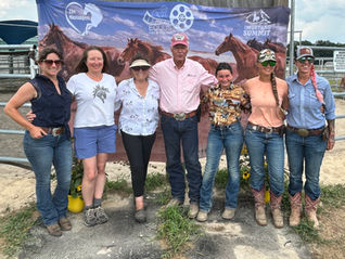 Wild Horse Summit
