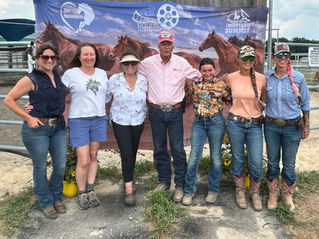 Wild Horse Summit