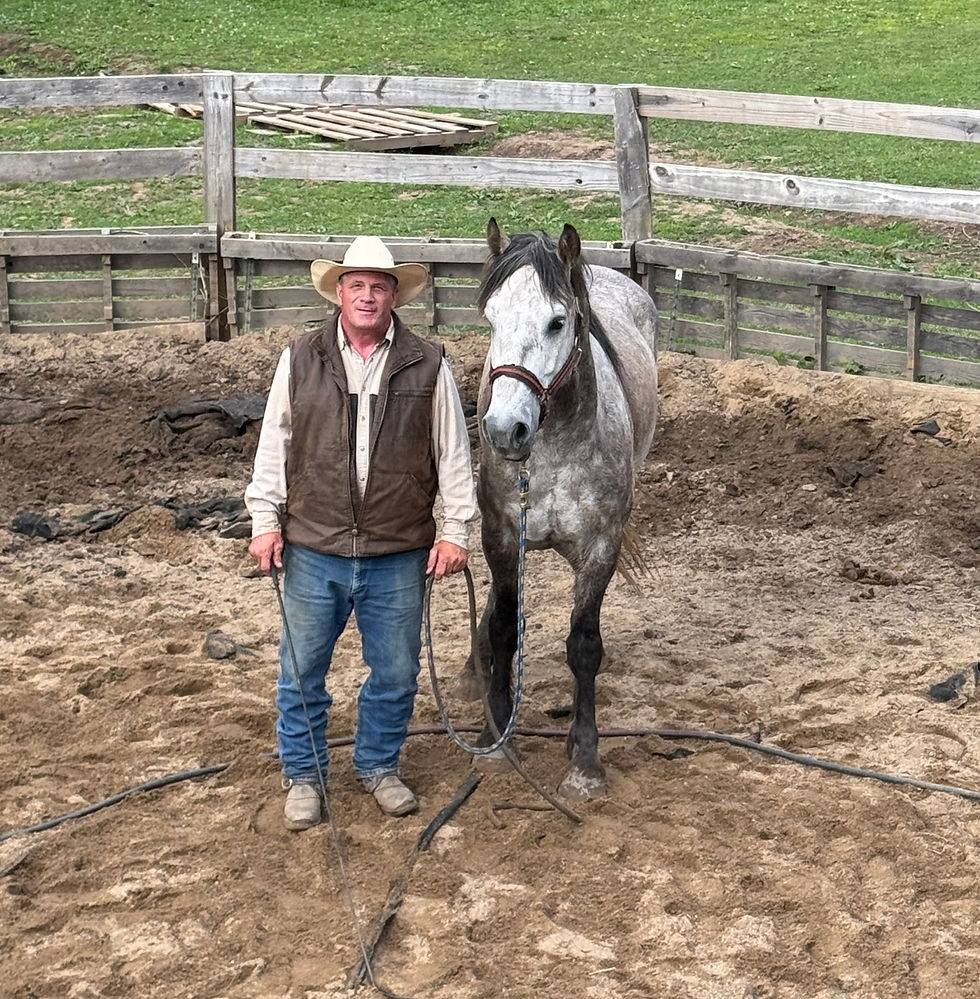 Cowboy in a tan hat stands beside a gray mustang horse in a muddy corral, holding reins, with a wooden fence and green pasture behind.