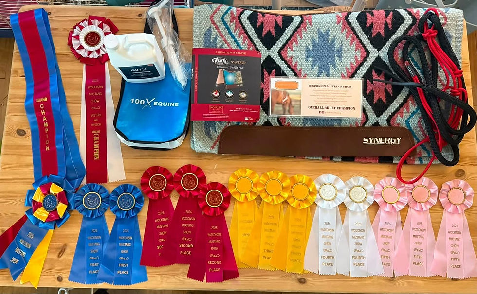 A table covered in prize ribbons for the 2026 Wisconsin Mustang Show along with a western saddle pad prize.