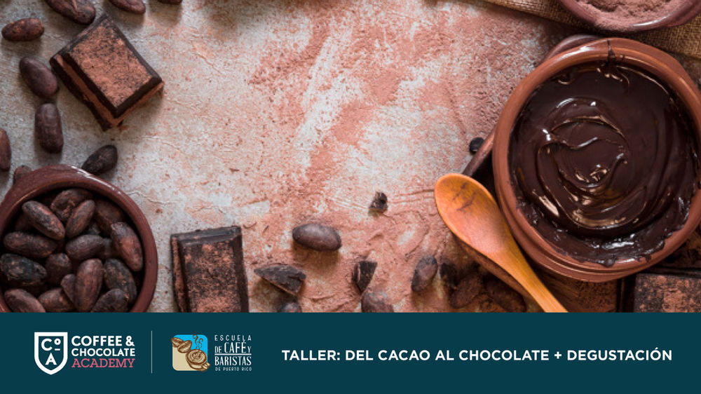 Del Cacao al Chocolate en Puerto Rico