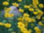 P8300939