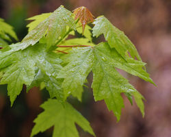 P5080248-2