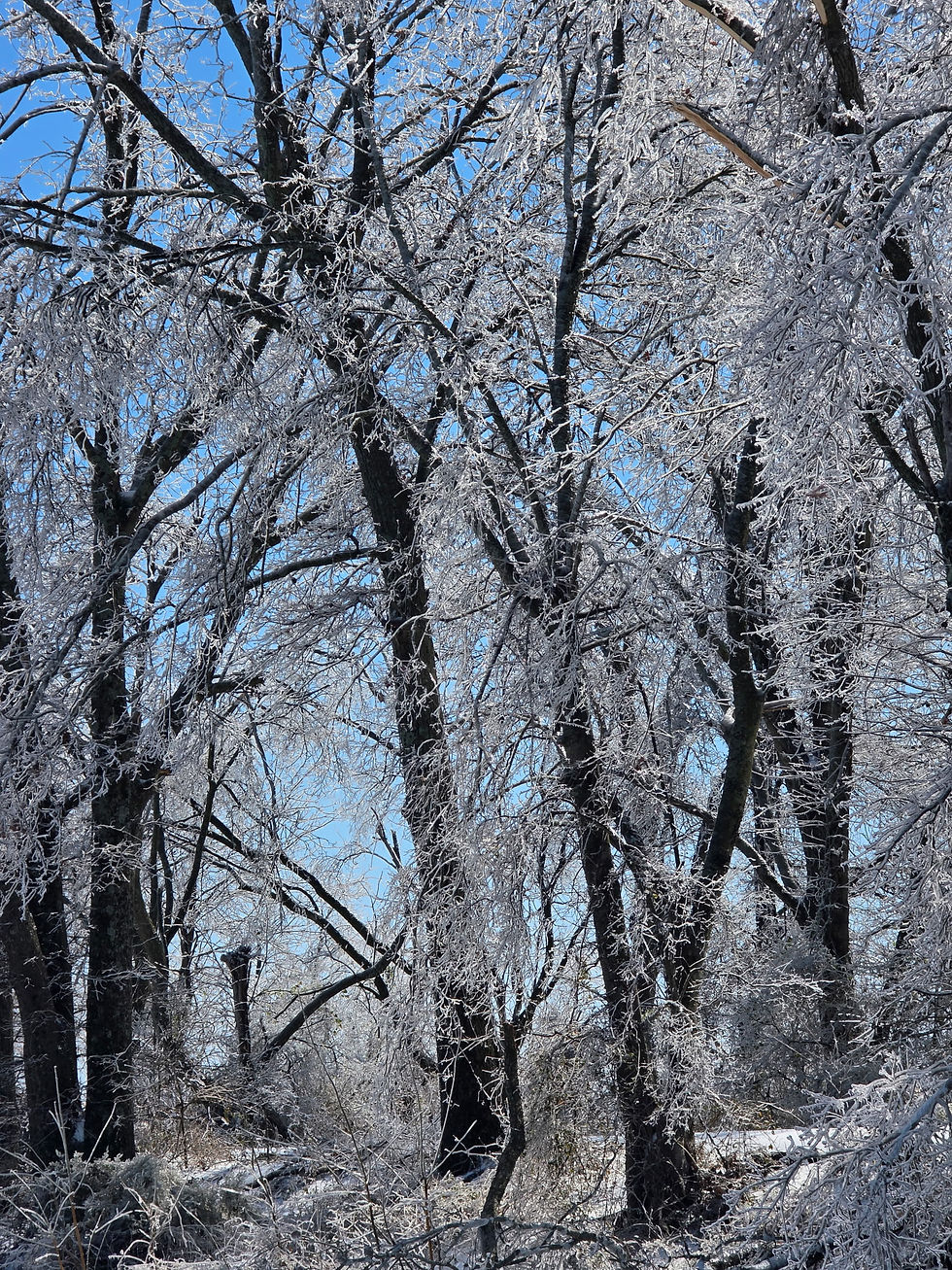 Community in the Cold