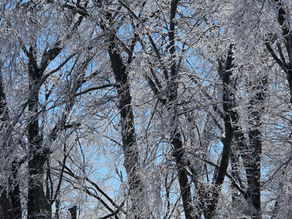 Community in the Cold
