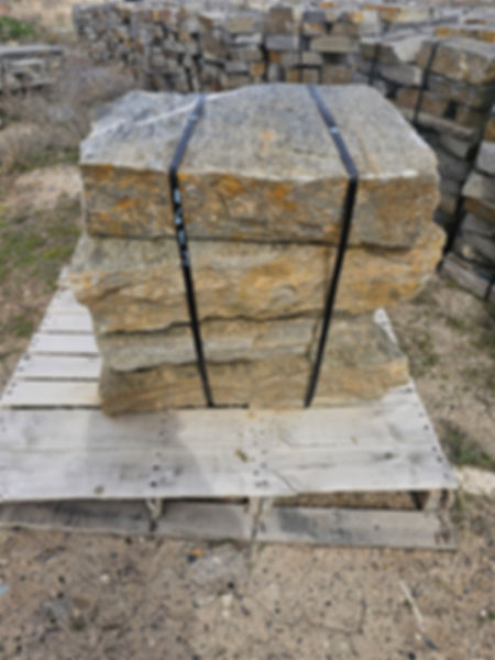 Silver Birch Natural Quartzite Steps