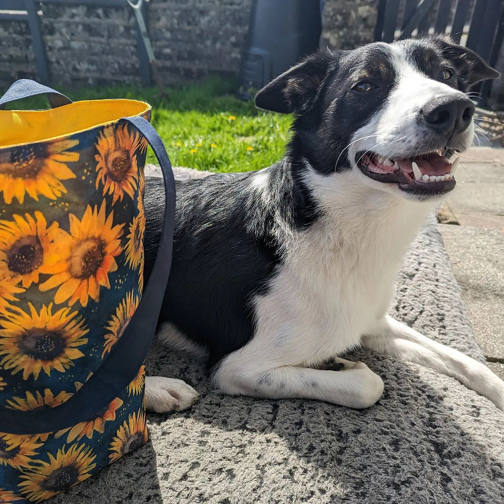 Thumbnail: Waterproof Tote Bags