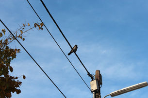 Erinnerung: Ruhezeiten und respektvolles Miteinander