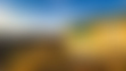 Restaurant "Schutzhaus am Ameisbach"