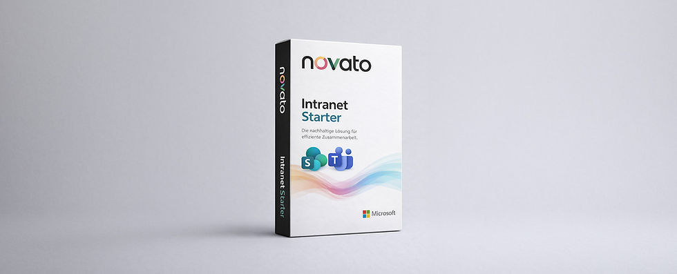novato - intranet STARTER P1.jpg