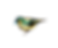 SWIEJKO_garden_1_62 (Klein).png