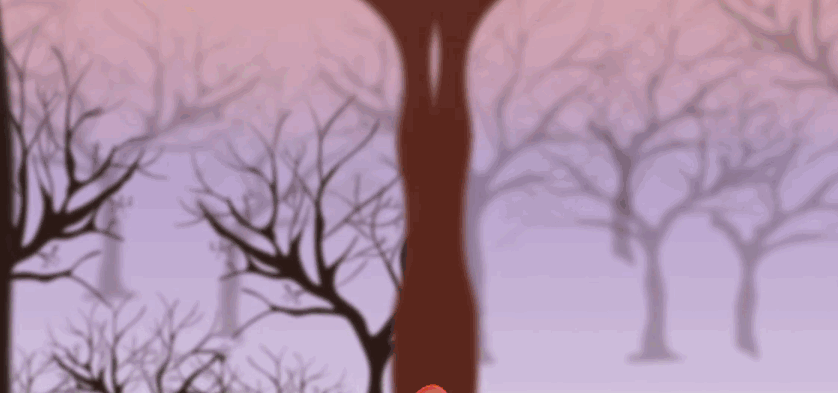 Gif illustration FOCA (Ae, Ai)
