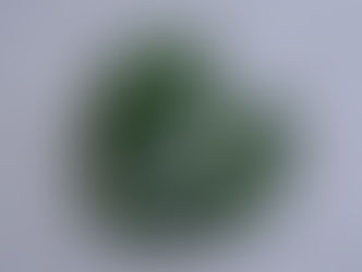 A heart-shaped leaf in Winter