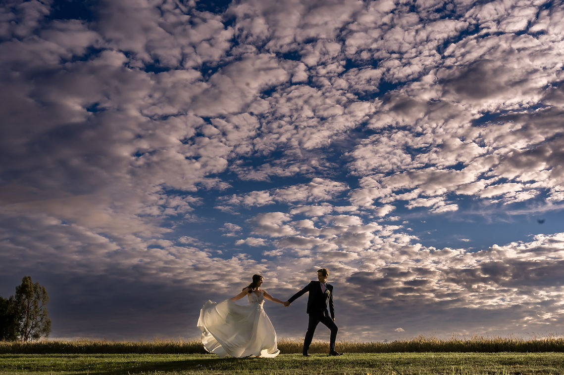 Newton park wedding