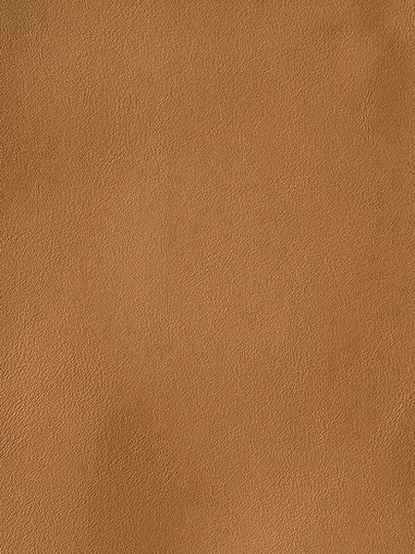 IMG_1180.png