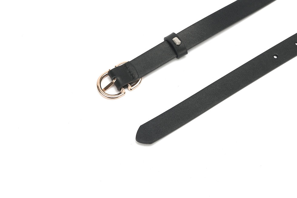 Thumbnail: Belt - Y-220119-23