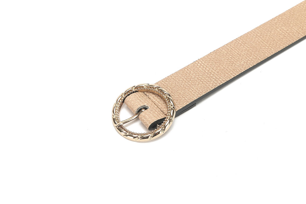Thumbnail: Belt - Y-220119-39