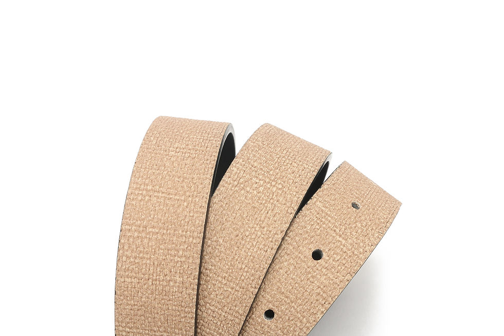 Thumbnail: Belt - Y-220119-39
