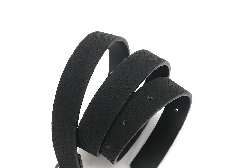 Thumbnail: Belt - Y-220119-46