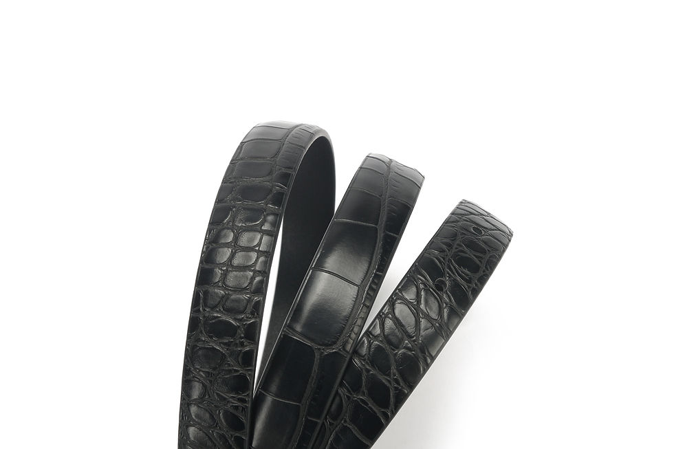 Thumbnail: Belt - Y-220119-09