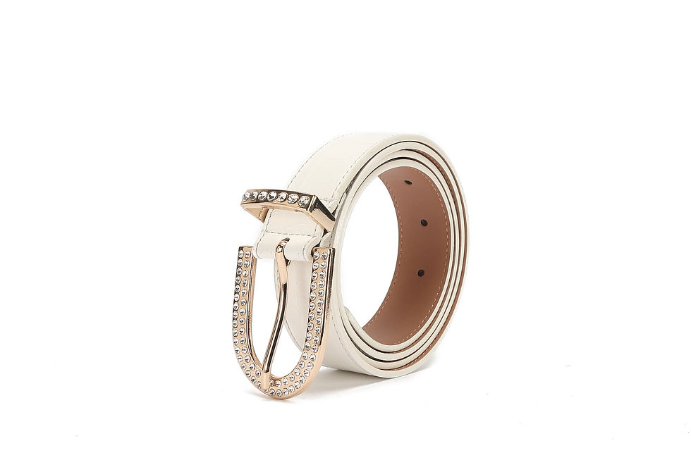 Thumbnail: Belt - Y-220119-12