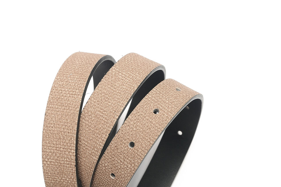 Thumbnail: Belt - Y-220119-37