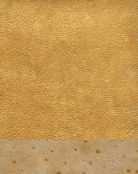 IMG_8195.png