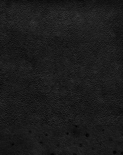 IMG_8196.png