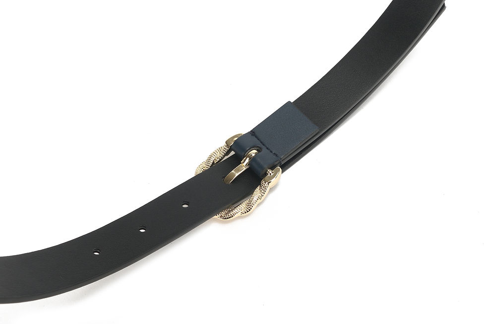 Thumbnail: Belt - Y-220119-46