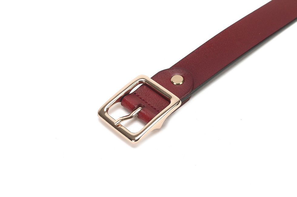 Thumbnail: Belt - Y-220119-18