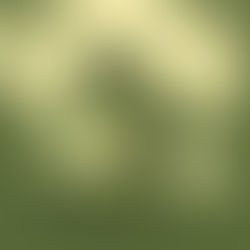 Le nerf vague : le fil discret qui relie notre digestion, nos émotions et notre calme intérieur