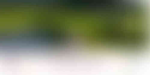 Friends of King’s College Golf Day 2026 at Windross Farm Golf Course, Clevedon.