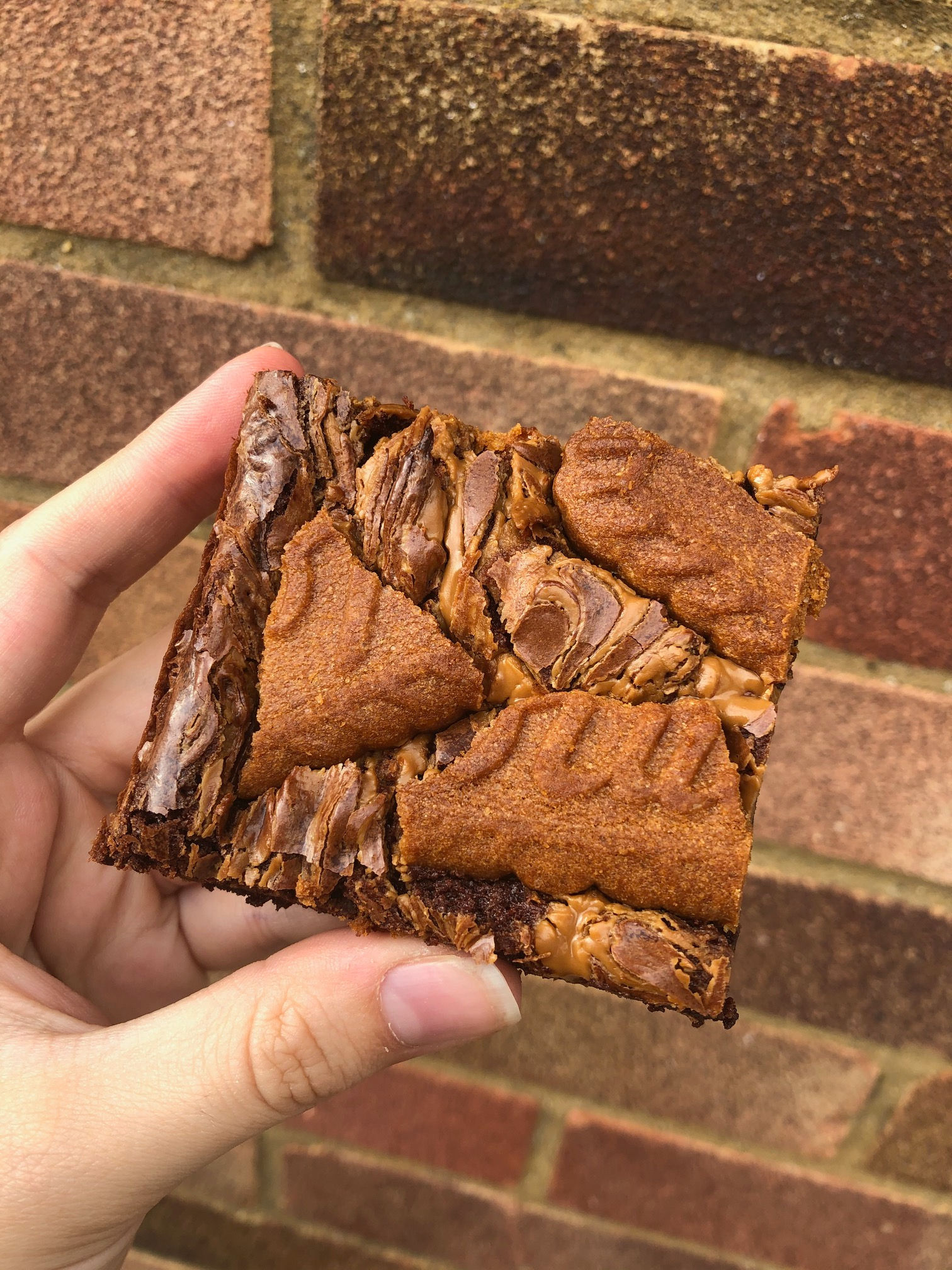 Lotus Biscoff Brownies