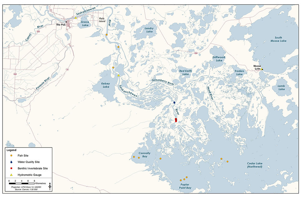 Saskatchewan River between The Pas and Cedar Lake