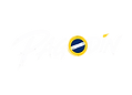 Logo - Pagodin.png
