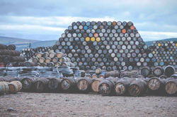 Scotland whisky barrels