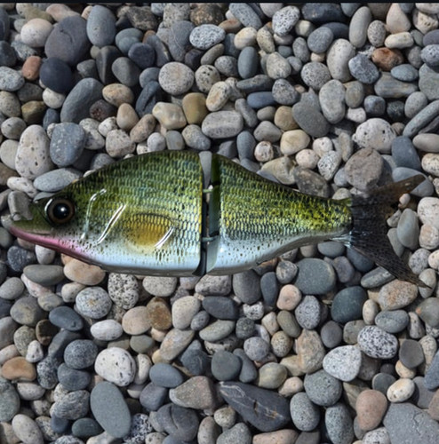 Black Crappie | 3-OH Fishing