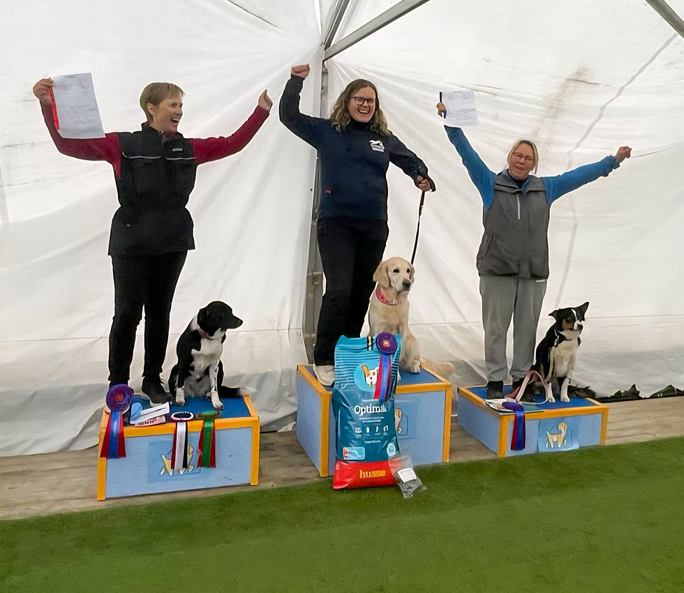 20250627-Uoffisielle-konkurranser--min.j