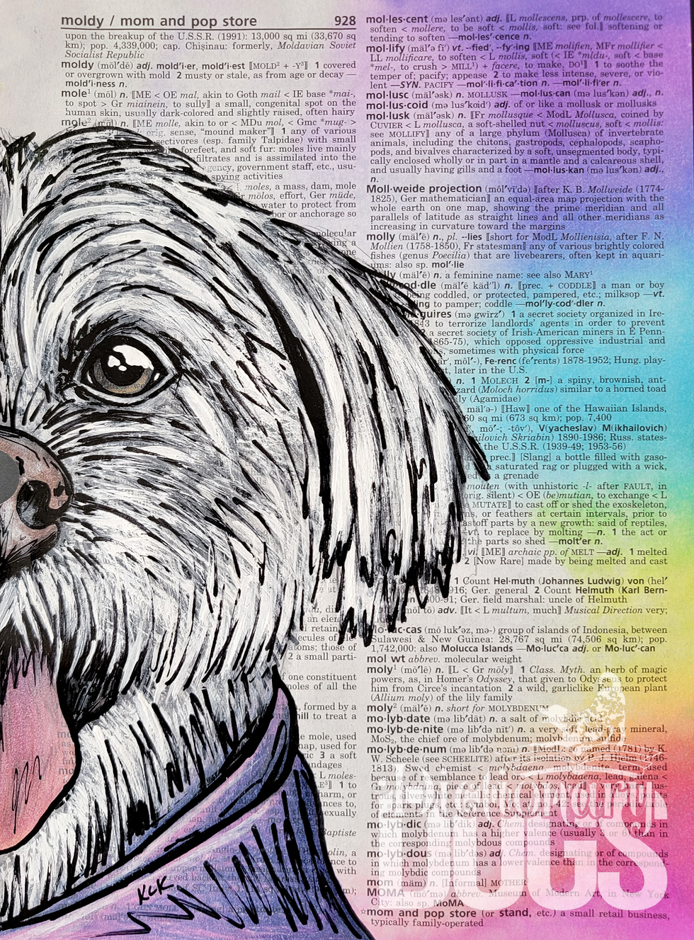 Thumbnail: Rainbow Bridge Dictionary Dogs Portrait