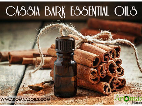 Check Out These Cassia Essential Oils Benefits For Health And Wellbeing