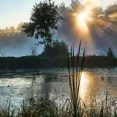 Sonnenaufgang mit Wolken am Teich