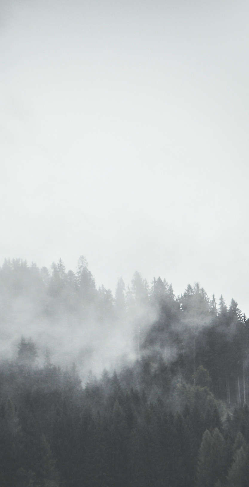 Mountain view on a foggy day