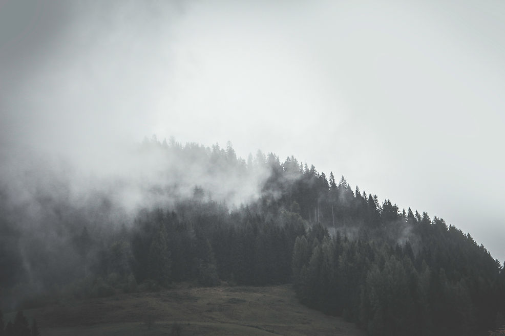 HOME The House of Lumsden