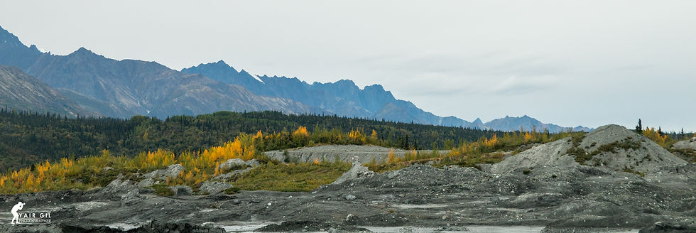 Near the Glacier