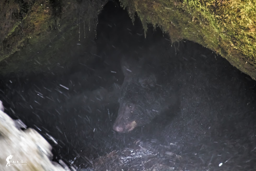 Fishing in the Cave